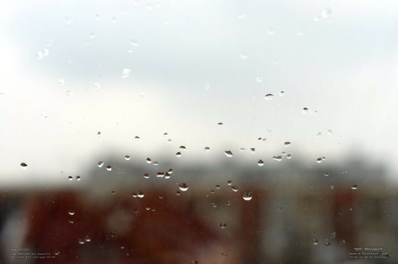 Image 365Project_Day143.jpeg