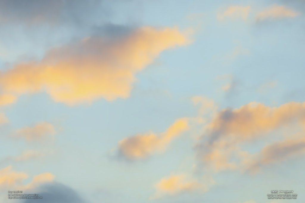 Image 365Project_Day144.jpeg