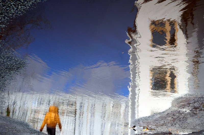 Image 365Project_Day146.jpeg