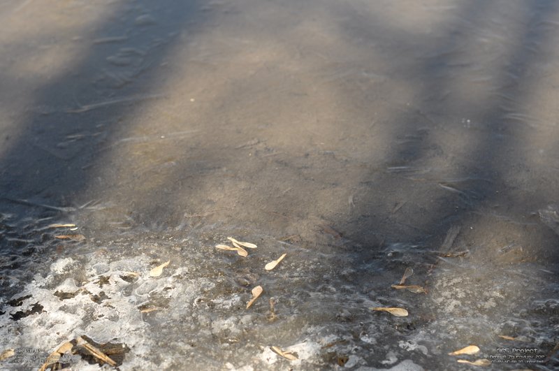 Image 365Project_Day153.jpeg