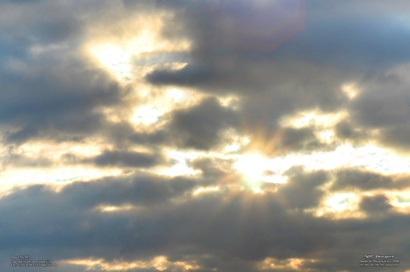 Image 365Project_Day156.jpeg