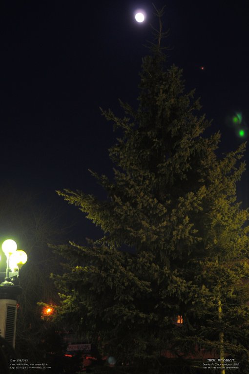 Image 365Project_Day158.jpeg