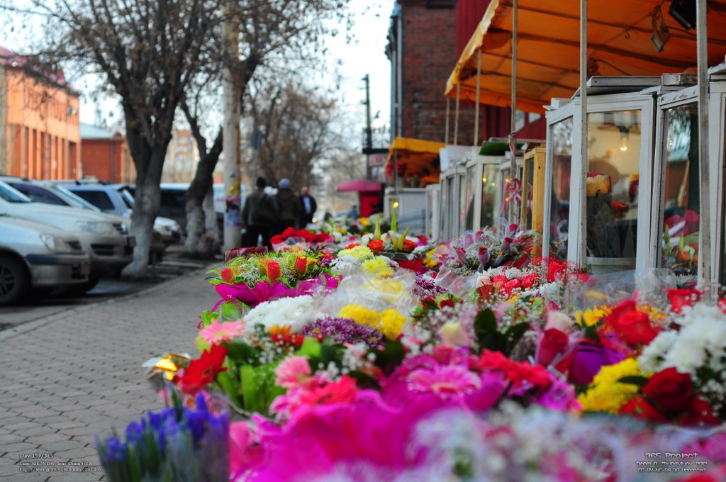 Image 365Project_Day159.jpeg