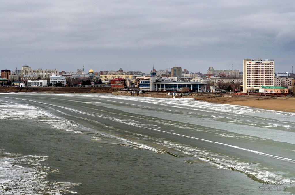 Image 365Project_Day161.jpeg