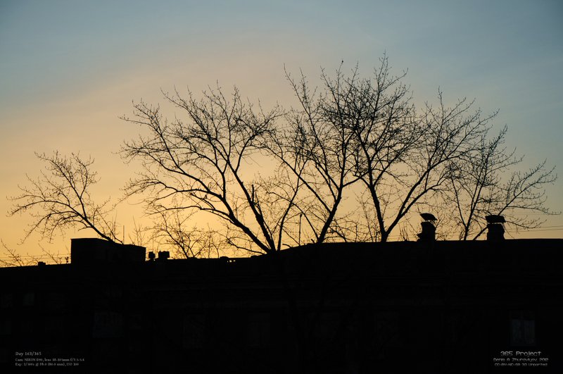 Image 365Project_Day163.jpeg