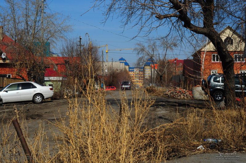 Image 365Project_Day165.jpeg