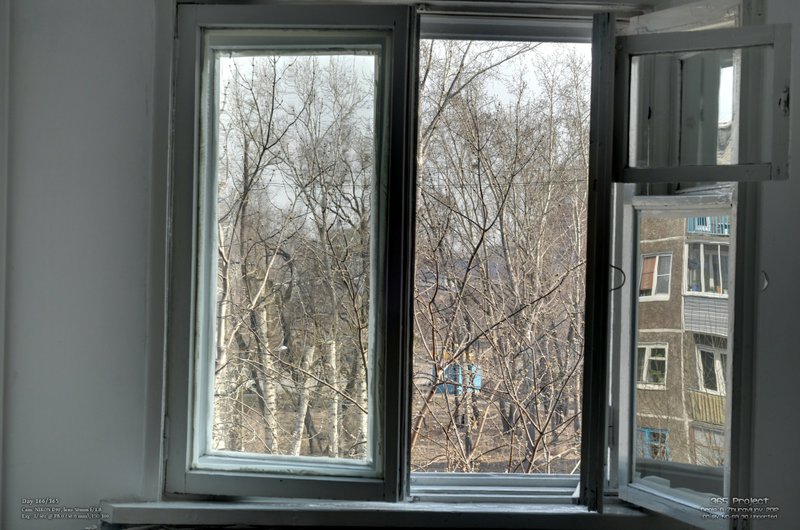 Image 365Project_Day166.jpeg