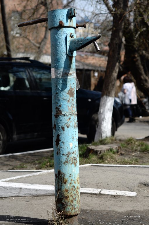 Image 365Project_Day172.jpeg