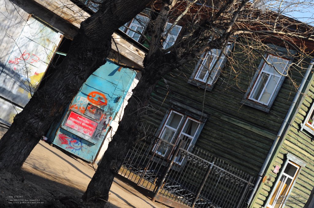 Image 365Project_Day173.jpeg