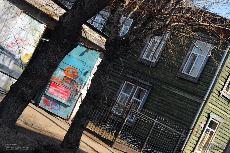 Image 365Project_Day173.jpeg