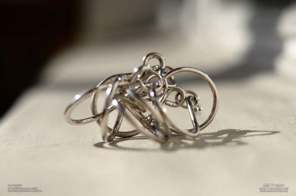 Image 365Project_Day174.jpeg