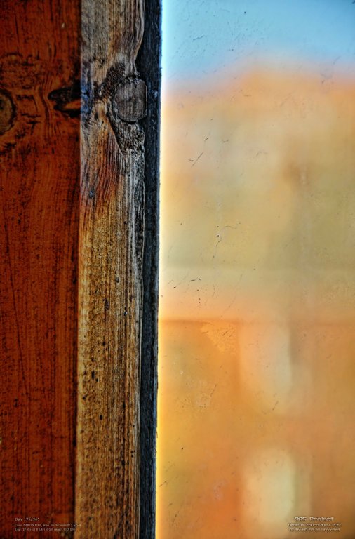 Image 365Project_Day175.jpeg