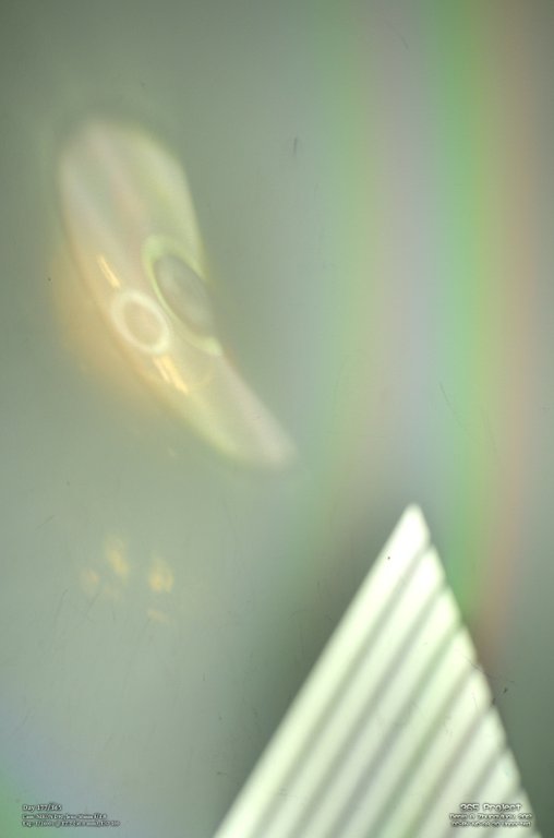 Image 365Project_Day177.jpeg