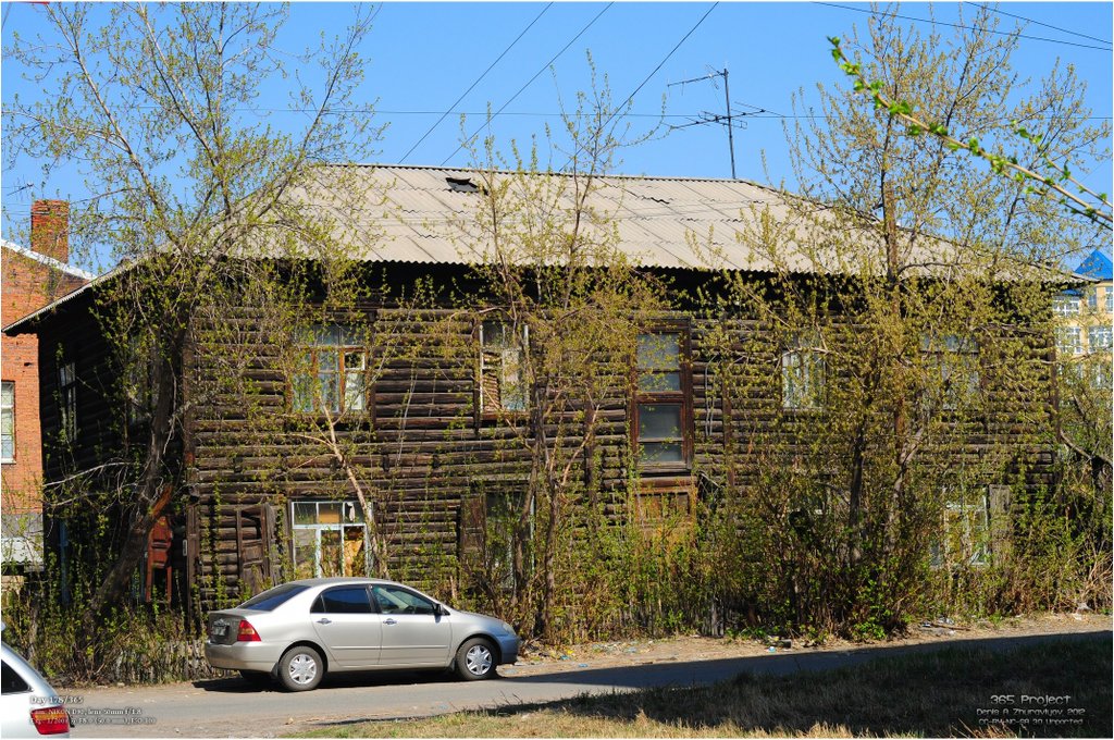 Image 365Project_Day178.jpeg