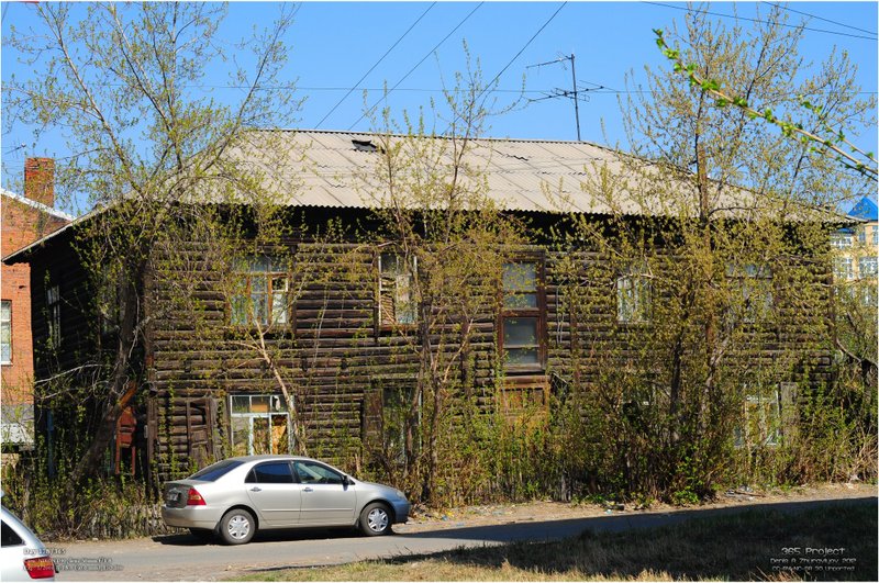 Image 365Project_Day178.jpeg