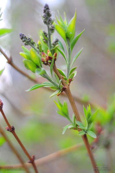 Image 365Project_Day179.jpeg