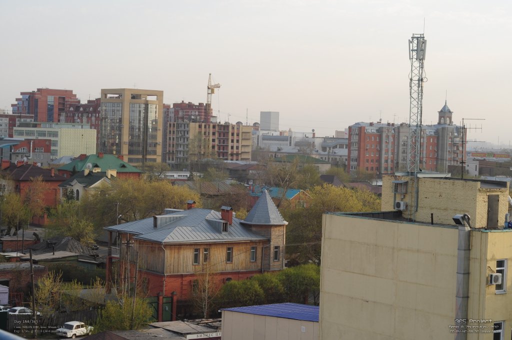 Image 365Project_Day180.jpeg