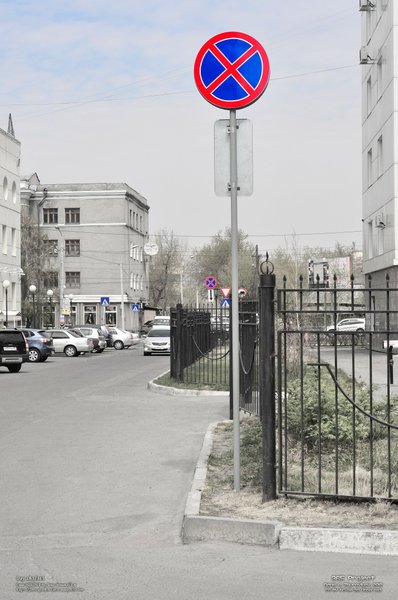 Image 365Project_Day181.jpeg