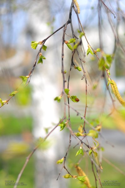 Image 365Project_Day183.jpeg