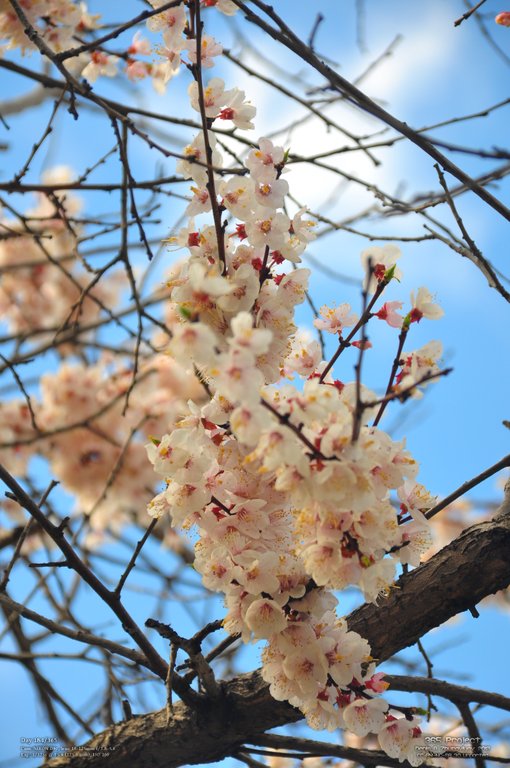 Image 365Project_Day184.jpeg