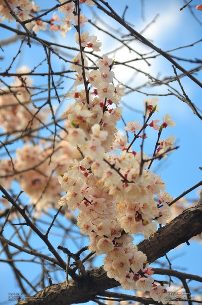 Image 365Project_Day184.jpeg