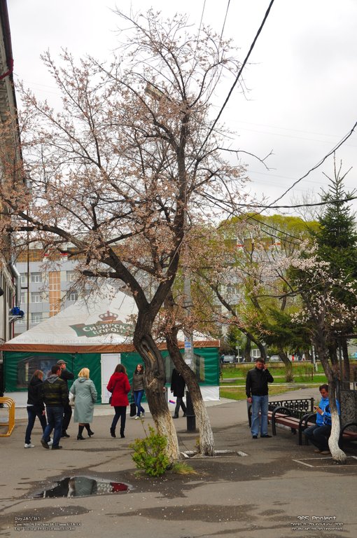 Image 365Project_Day185.jpeg