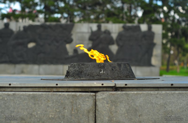 Image 365Project_Day186.jpeg