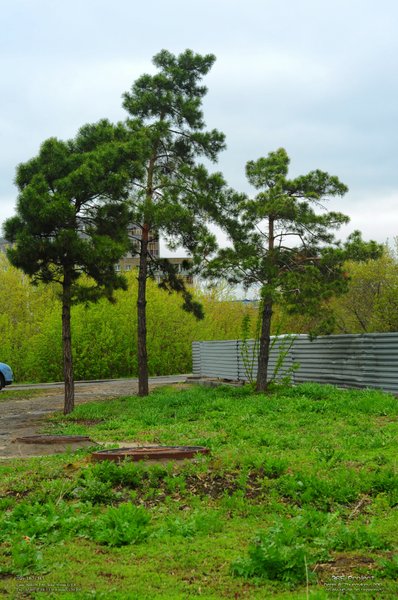 Image 365Project_Day187.jpeg