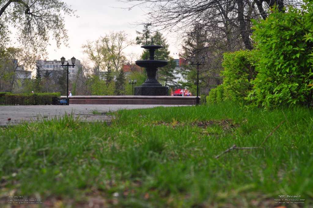 Image 365Project_Day191.jpeg