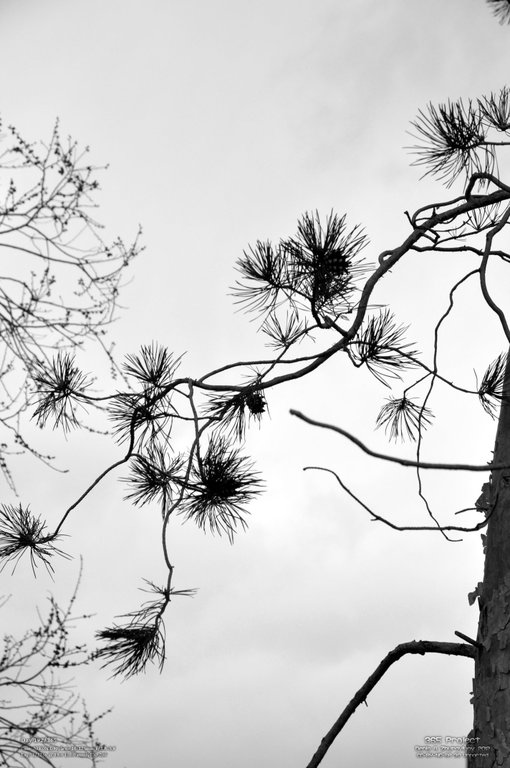 Image 365Project_Day192.jpeg