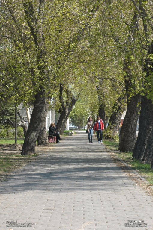 Image 365Project_Day193.jpeg