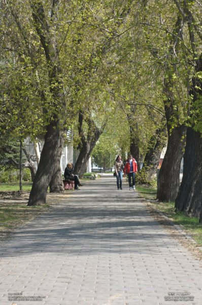 Image 365Project_Day193.jpeg