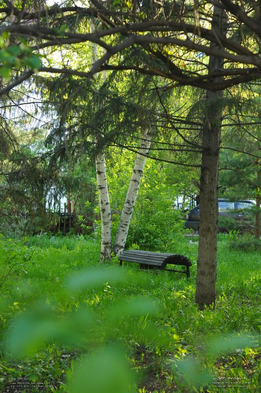 Image 365Project_Day197.jpeg