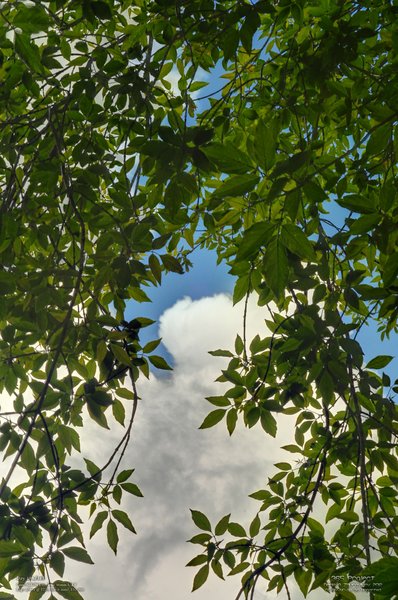 Image 365Project_Day198.jpeg