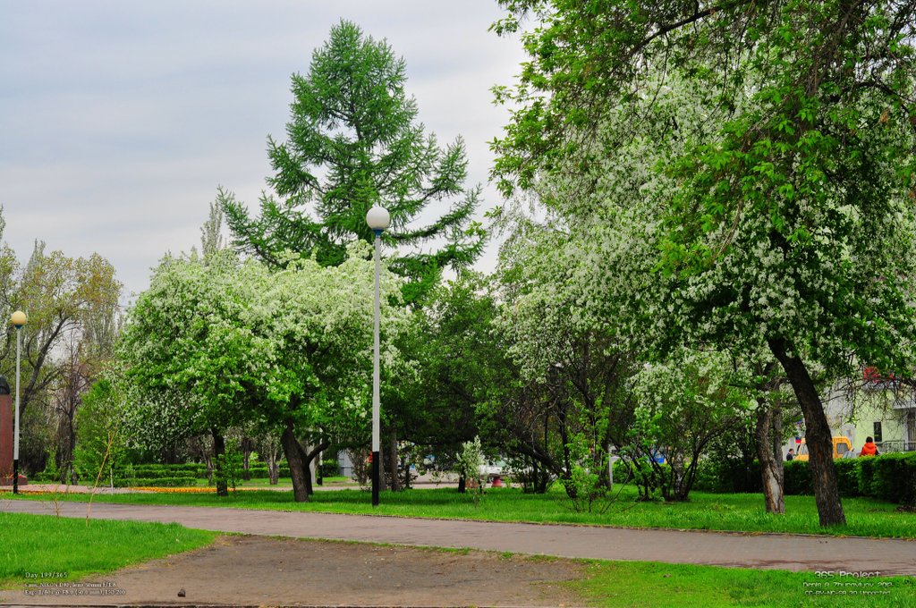 Image 365Project_Day199.jpeg