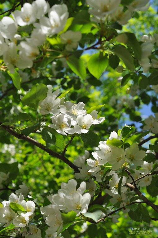 Image 365Project_Day200.jpeg