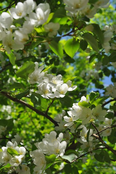 Image 365Project_Day200.jpeg