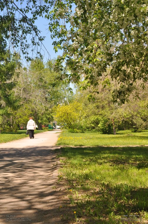 Image 365Project_Day203.jpeg