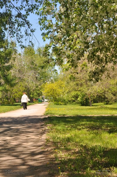 Image 365Project_Day203.jpeg