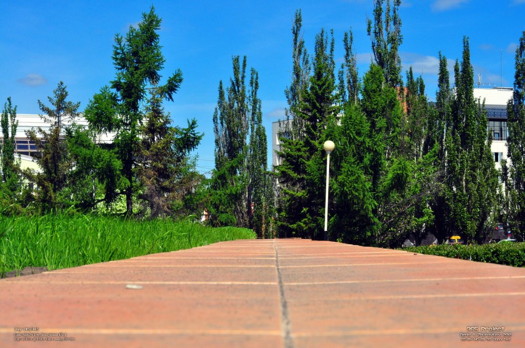 Image 365Project_Day205.jpeg