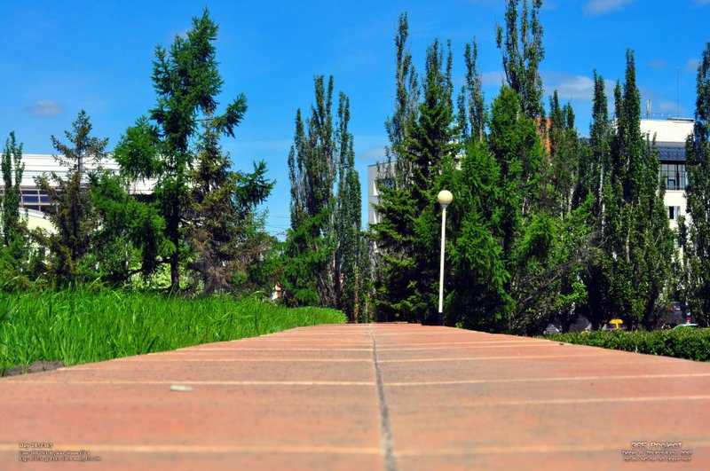 Image 365Project_Day205.jpeg