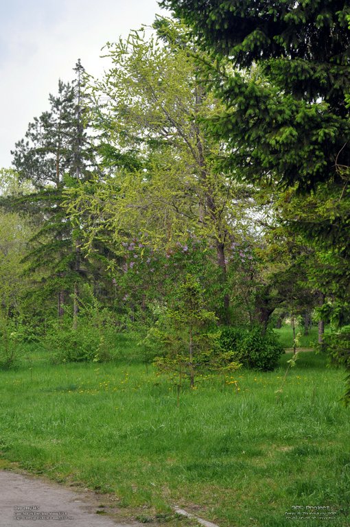 Image 365Project_Day206.jpeg