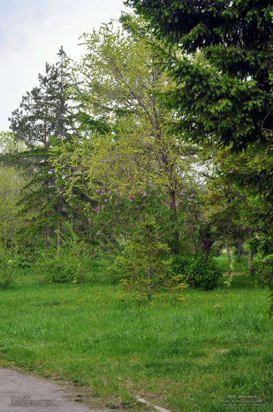 Image 365Project_Day206.jpeg