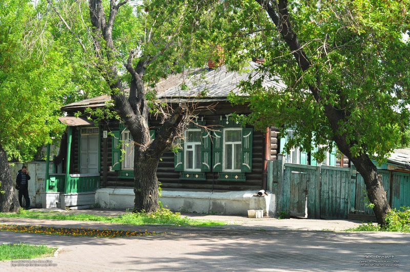 Image 365Project_Day207.jpeg