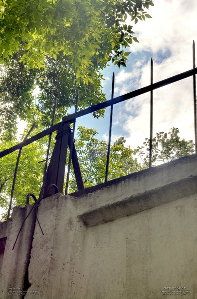 Image 365Project_Day209.jpeg