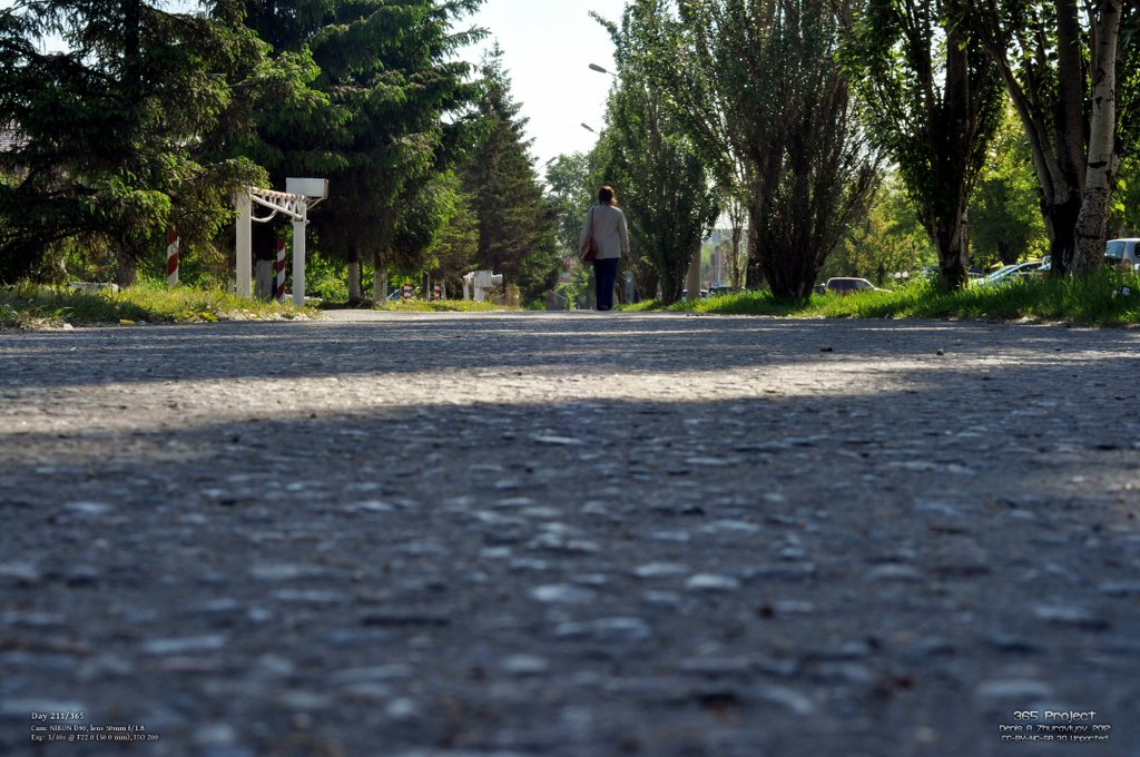 Image 365Project_Day211.jpeg