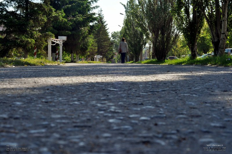 Image 365Project_Day211.jpeg