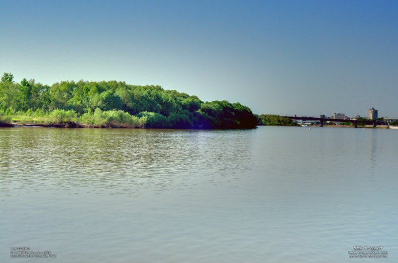 Image 365Project_Day212.jpeg