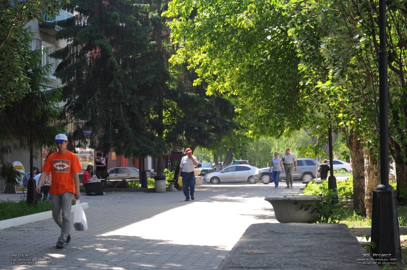 Image 365Project_Day214.jpeg