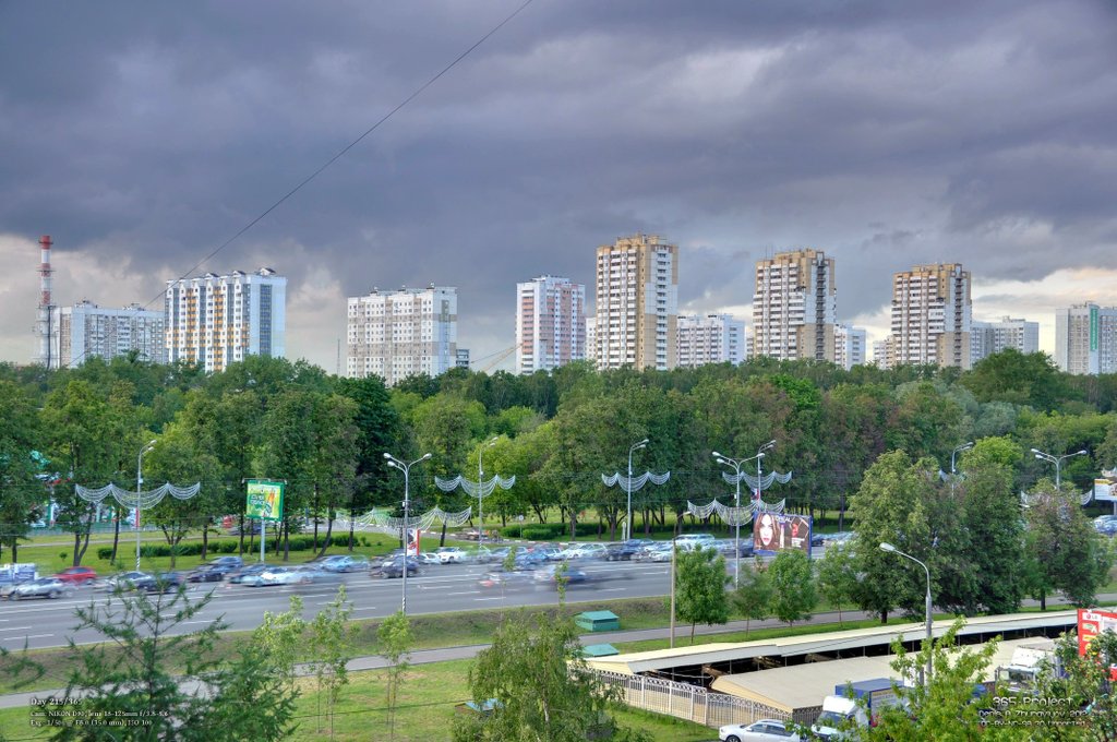 Image 365Project_Day215.jpeg